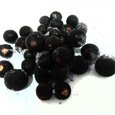 IQF BLACKCURRANT