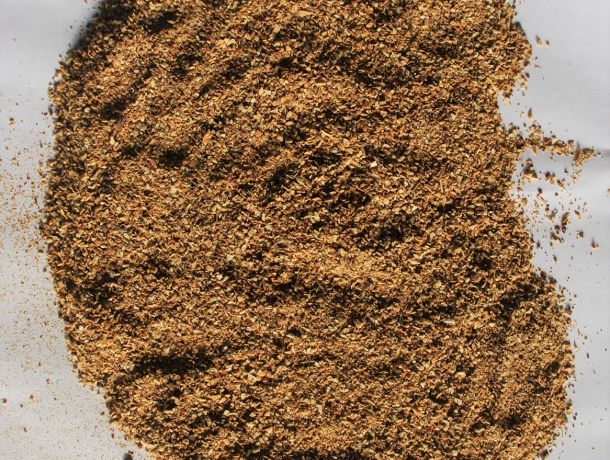 DRIED CHICORY ROOT grits 1-3 mm