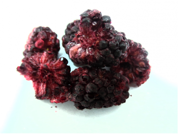 FREEZE DRIED BLACKBERRY