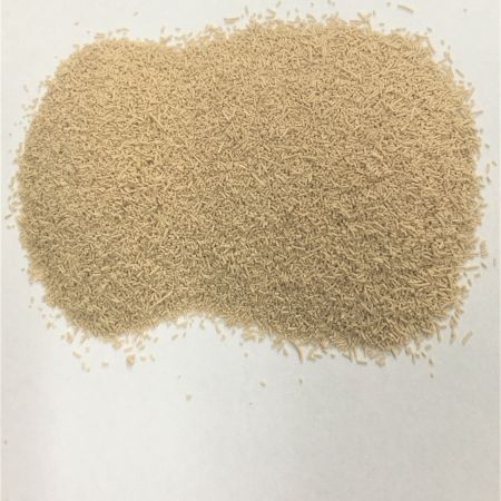 DRIED BAKER'S YEAST (active)