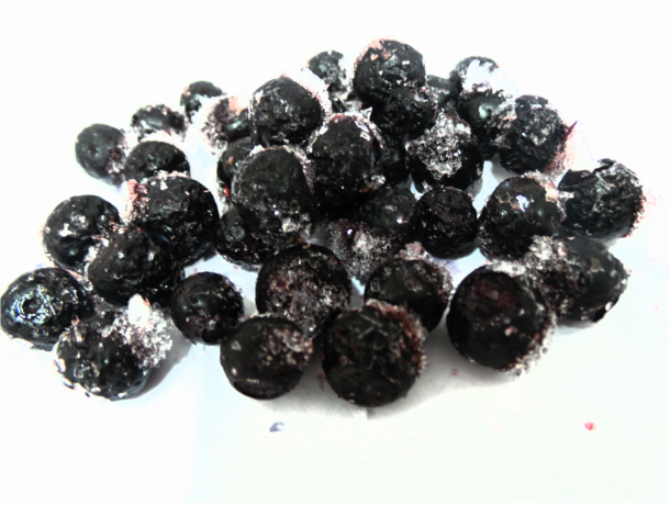 IQF BILBERRY