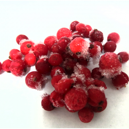 IQF RED CURRANT