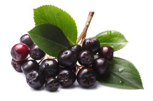 ORGANIC ARONIA JUICE CONCENTRATE