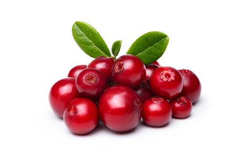 LINGONBERRY JUICE CONCENTRATE