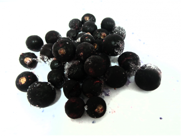 IQF BLACKCURRANT